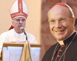 Medjugorje bishop says Cardinal Schönborn’s visit brings greater suffering to his diocese