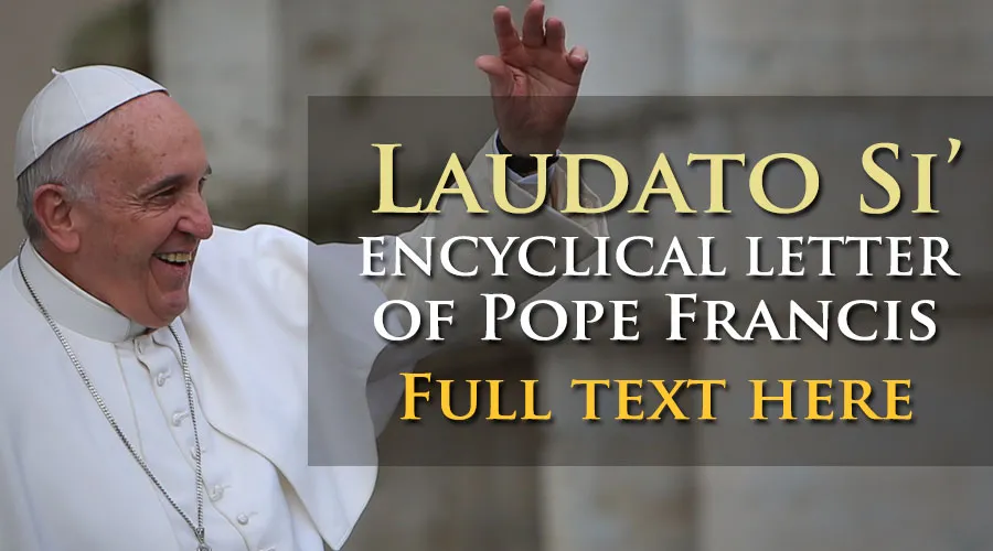 Click here for the full text of the Pope's new encyclical, Laudato Si