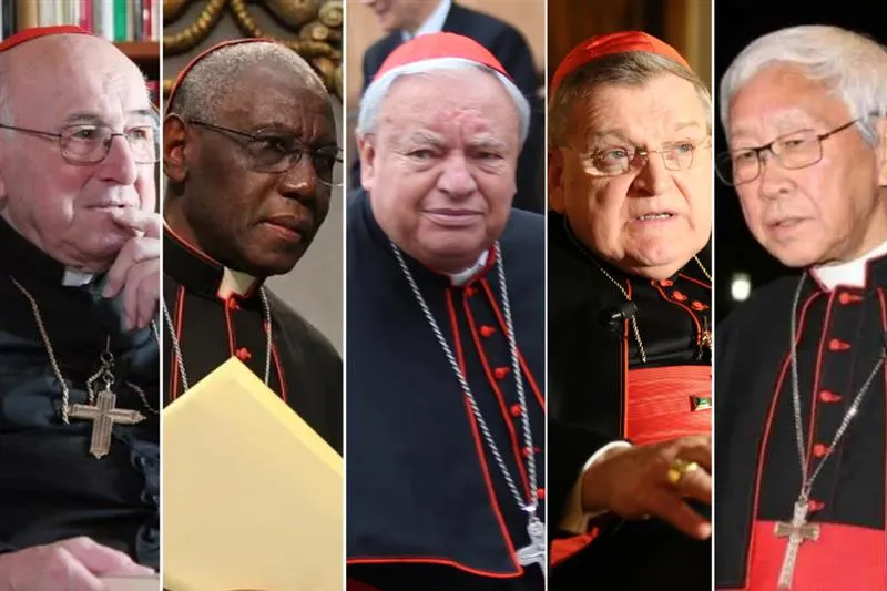 The 5 cardinals behind the latest dubia issued to Pope Francis