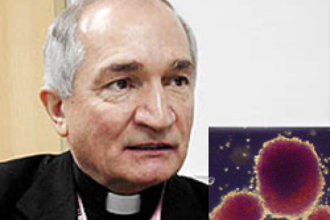 06 08 2010 Thomasi Cell