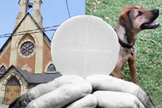 07 28 2010 Dog Communion 2