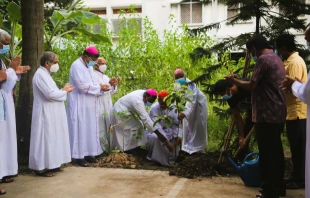 Catholic bishops planting a tree at the premises of the Catholic Bishops’ Conference of Bangladesh in Dhaka, Aug. 14, 2020. Sumon Corraya