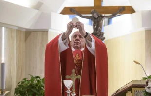 Pope Francis celebrates Mass in the chapel of the Casa Santa Marta May 14, 2020.   Vatican Media