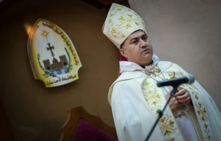 Archbishop Bashar Warda, the Chaldean Archbishop of Erbil at the Chaldean cathedral in Erbil, Iraq, April 12, 2015. Credit: Mazur/catholicnews.org.uk.