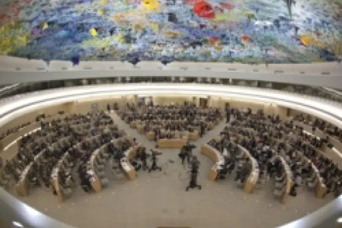 19th Special Session on Syria of the United Nations Human Rights Council Credit US Mission Geneva CNA World Catholic News 6 1 12
