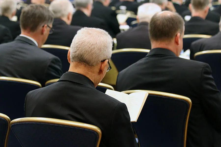 Bishops at the USCCB General Assembly in Baltimore, June 2019. ?w=200&h=150