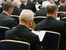 Bishops at the USCCB General Assembly in Baltimore, June 2019. 