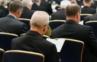 Bishops at the USCCB General Assembly in Baltimore, June 2019.   Kate Veik/CNA