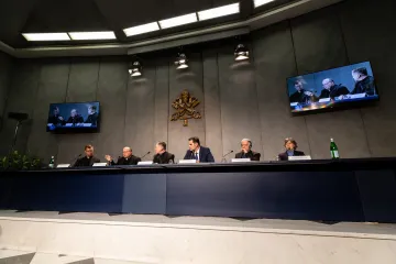 20190218 Press Conference for the presentation of the meeting on  The protection of minors in the Church  21 24 February 2019 Daniel Ibanez 3