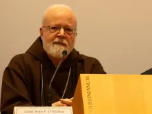 Cardinal Sean O'Malley briefs reporters during the Vatican abuse summit.