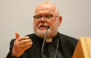 Cardinal Reinhard Marx speaks at a Vatican press conference Feb. 23, 2019.   Daniel Ibanez.