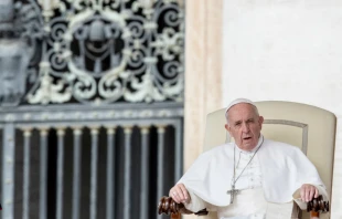 Pope Francis speaks at the general audience Sept. 25, 2019.   Daniel Ibanez/CNA