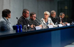 An Oct. 10 Vatican press briefing during the Synod of Bishops on the Amazon.   Daniel Ibanez/CNA