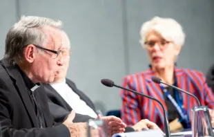 José Ángel Divassón Cilveti speaks at an Amazon synod press conference at the Vatican Oct. 14, 2019.   Daniel Ibanez/CNA.