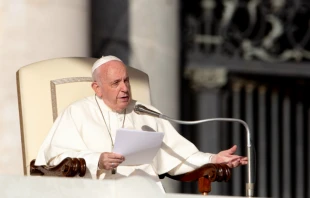 Pope Francis speaks at the general audience Oct. 23, 2019.   Daniel Ibanez/CNA
