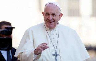 Pope Francis greets pilgrims in St. Peter's Square Oct. 23, 2019.   Daniel Ibanez/CNA