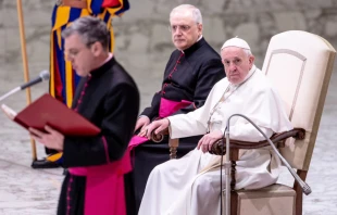 Pope Francis at the general audience in Paul VI Hall Jan. 22, 2020.   Daniel Ibanez/CNA.