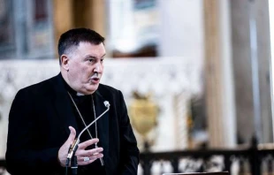 Bishop Claudio Maniago, president of the Italian bishops’ conference’s liturgy commission.   Daniel Ibáñez/CNA.