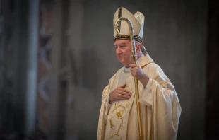 Cardinal Pietro Parolin, pictured in St. Peter's Basilica Oct. 3, 2015.   Mazur/catholicnews.org.uk.