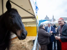 Cardinal Mauro Gambetti greets animals and offers his blessing in St. Peter’s Square on Wednesday, Jan. 17, 2024.