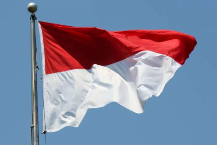 The Indonesian flag. ?w=200&h=150