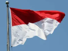 The Indonesian flag. 