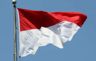 The Indonesian flag.   Mr.TinDC/Flickr (CC BY-ND 2.0).