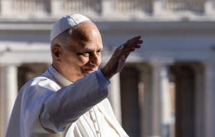 Pope Leo XIV greets pilgrims at his general audience in St. Peter's Square at the Vatican, Wednesday, Oct. 8, 2025 Credit: Daniel Ibáñez/CNA