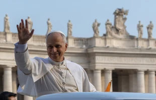 Pope Leo XIV waves from the popemobile during an Oct. 15, 2025 public audience in St. Peter's Square. Credit: Daniel Ibanez/CNA.