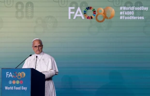 Pope Leo XIV speaks at the Rome headquarters of the Food and Agriculture Organization of the United Nations (FAO) on Oct. 16, 2025. Credit: Daniel Ibanez/CNA