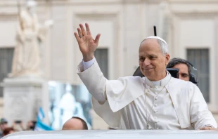 Pope Leo XIV greets pilgrims during his general audience in St. Peter’s Square at the Vatican, Wednesday, Oct. 22, 2025 Credit: Daniel Ibáñez/CNA