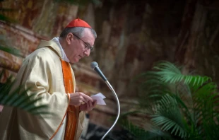 Vatican Secretary of State Cardinal Pietro Parolin, pictured Jan. 1, 2012.   Mazur/catholicchurch.org.uk.