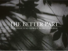 Promo photo for the The Better Part Journal of shadows of Madonna lilies for the Blessed Virgin Mary.