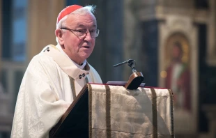 Cardinal Vincent Nichols of Westminster. Mazur/catholicnews.org.uk.