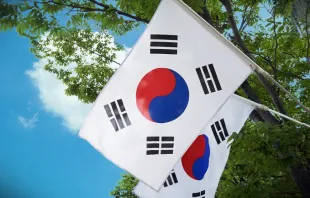South Korean flags.   Prachatai (CC BY-NC-ND 2.0).