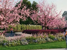 A 3D rendering of the Living Wall: Monument to the Unborn by the architect of the Living Wall, bringing to life the painted design by Arkansas artist Lakey Goff.