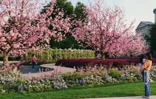 A 3D rendering of the Living Wall: Monument to the Unborn by the architect of the Living Wall, bringing to life the painted design by Arkansas artist Lakey Goff. Credit: Photo courtesy of Lakey Goff