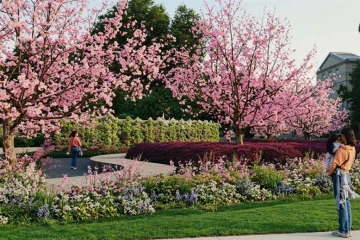 Living wall for unborn