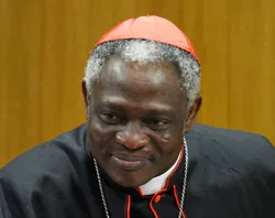 Cardinal Peter Turkson, President of the Pontifical Council for Justice and Peace.?w=200&h=150
