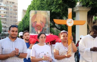 The August 2025 Youth Jubilee in Egypt is taking place in two phases this month. The jubilee is under the patronage and presence of apostolic vicar of the Latins in Egypt, Bishop Claudio Lurati, organized by his deputy Monsignor Antoine Tawfiq and Sister Chiara Latif of the Franciscan Elizabethan Sisters. Credit: Photo courtesy of Apostolic Vicariate of the Latins in Egypt