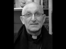 Bishop Dominique Rey of Fréjus-Toulon