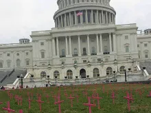 Crosses placed in front of the Capitol to represent the 915 unborn babies aborted by Planned Parenthood every day. Photo Courtesy of Amanda Lord/SFLA.