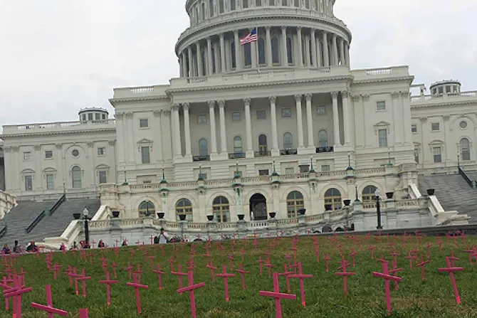 915 crosses placed in front of the Capitol to represent the 915 unborn babies aborted by Planned Parenthood every day Photo Courtesy of Amanda Lord SFLA CNA 10 31 13
