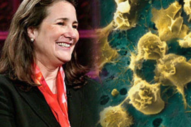 9 3dianadegettecelulascna030910