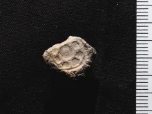 A Mississippi State University team found this bulla, or ancient clay seal, from the 10th century BC in southern Israel. 