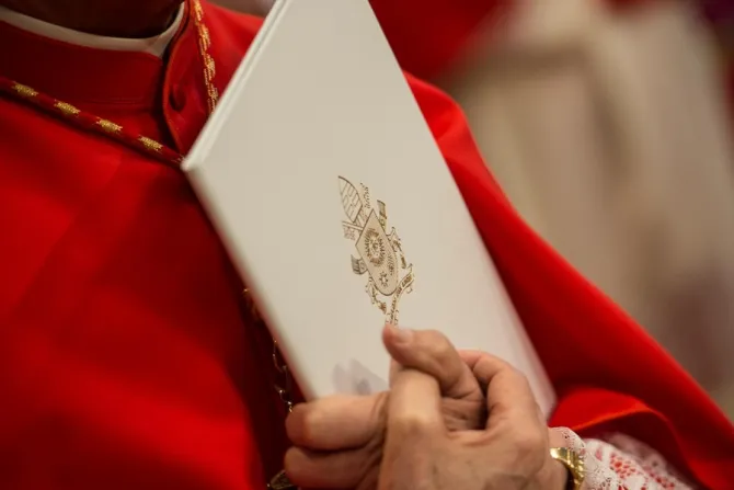 A cardinal in St Peters Basilica CNA file photo
