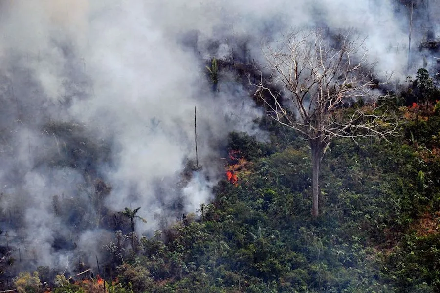 A fire in the Amazon rainforest in Brazil Aug. 23, 2019. ?w=200&h=150