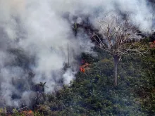 A fire in the Amazon rainforest in Brazil Aug. 23, 2019. 