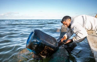 A fisherman places handmade oil barriers into the sea at the Old Grand Port in Mauritius, Aug. 11, 2020, to block leaked oil from the MV Wakashio.   Laura Morosoli/AFP via Getty Images.