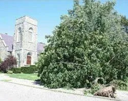 A large tree fell outside St. Sebastian Church in Providence, R.I. / Photo ?w=200&h=150
